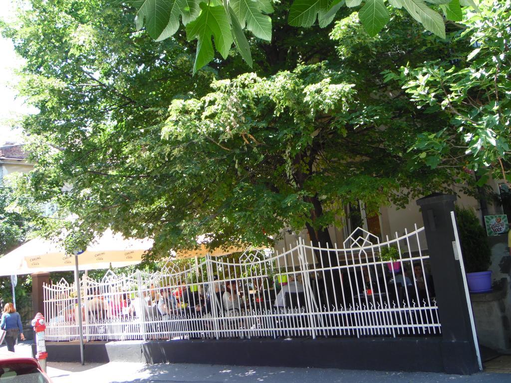 Apartment Vracar Beograd Værelse billede